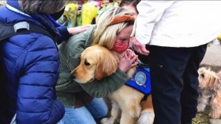 cubby and devorah_therapy dogs.jpg