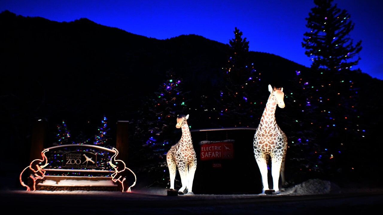 Cheyenne Mountain Zoo's Electric Safari