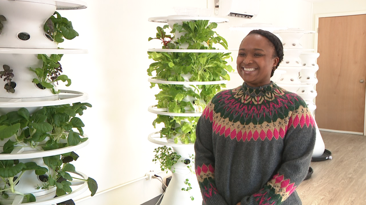 Alyssia Richardson Princess Gardens worm composting