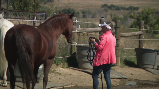 HERO-ECKERLING-HAPPY-DOG-RANCH.png