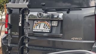 Hawaii Plate