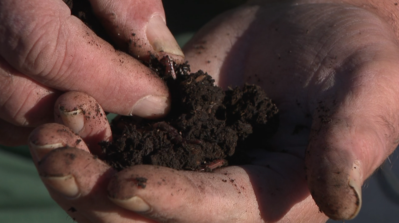 John Anderson worms in hand