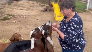 joan bown_the ranch at fort collins_denver7 everyday hero.jpg