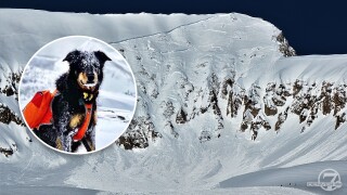 search for ullr dog after rapid creek avalanche.jpg