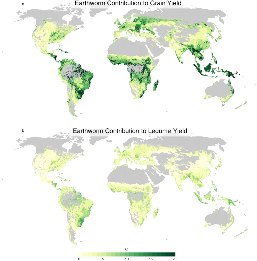 earthworm global study