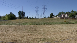 Xcel mows easement for Aurora resident concerned about fire danger