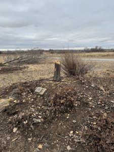 Rowan Tree Foundation vandalism