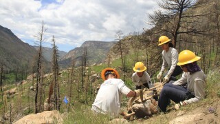 Roaring Creek Trail_Canyon Lakes Ranger District 