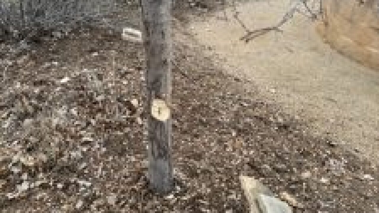 Rowan Tree Foundation vandalism