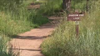 Shadow Pine Loop at Flying J Ranch Park